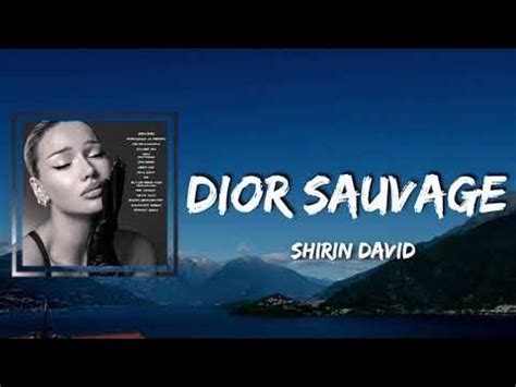 dior sauvage shirin lyrics|Dior Sauvage .